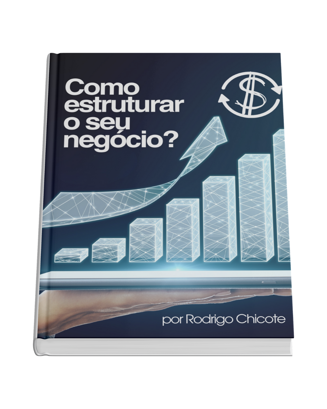 Red Minimal Money Guide E-Book Cover (5)